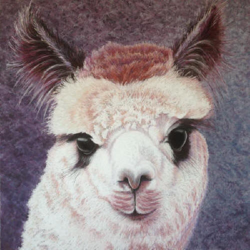GEORGEOS ROSE GREY
